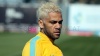 Alves